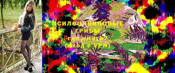 apvp Аркадак