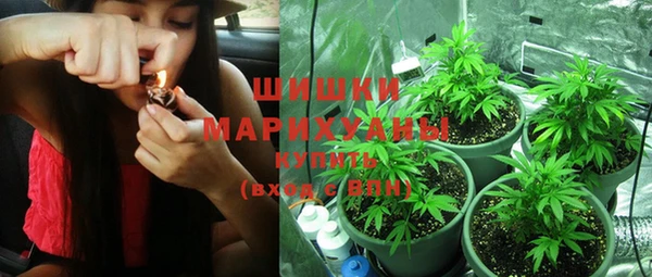 apvp Аркадак